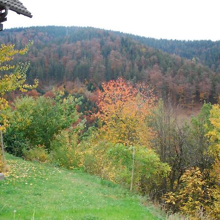 Country House & Spa Mislinja Экстерьер фото
