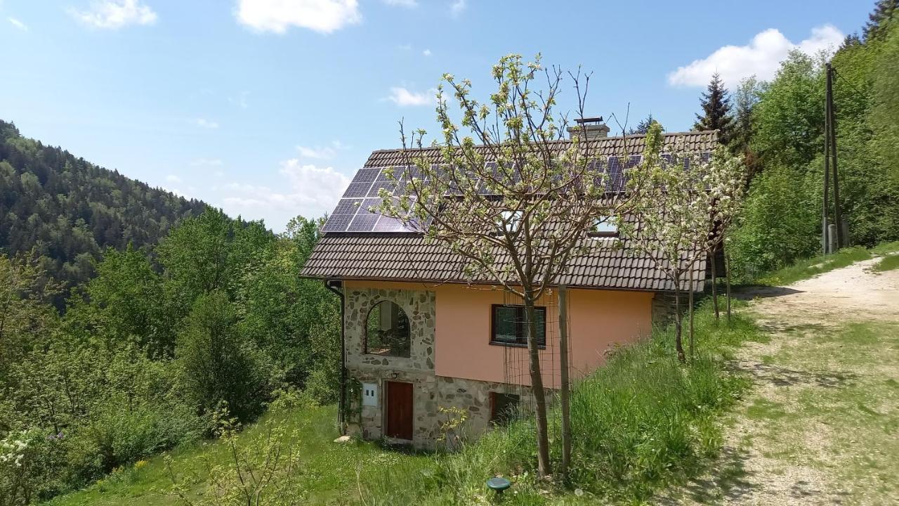 Country House & Spa Mislinja Экстерьер фото