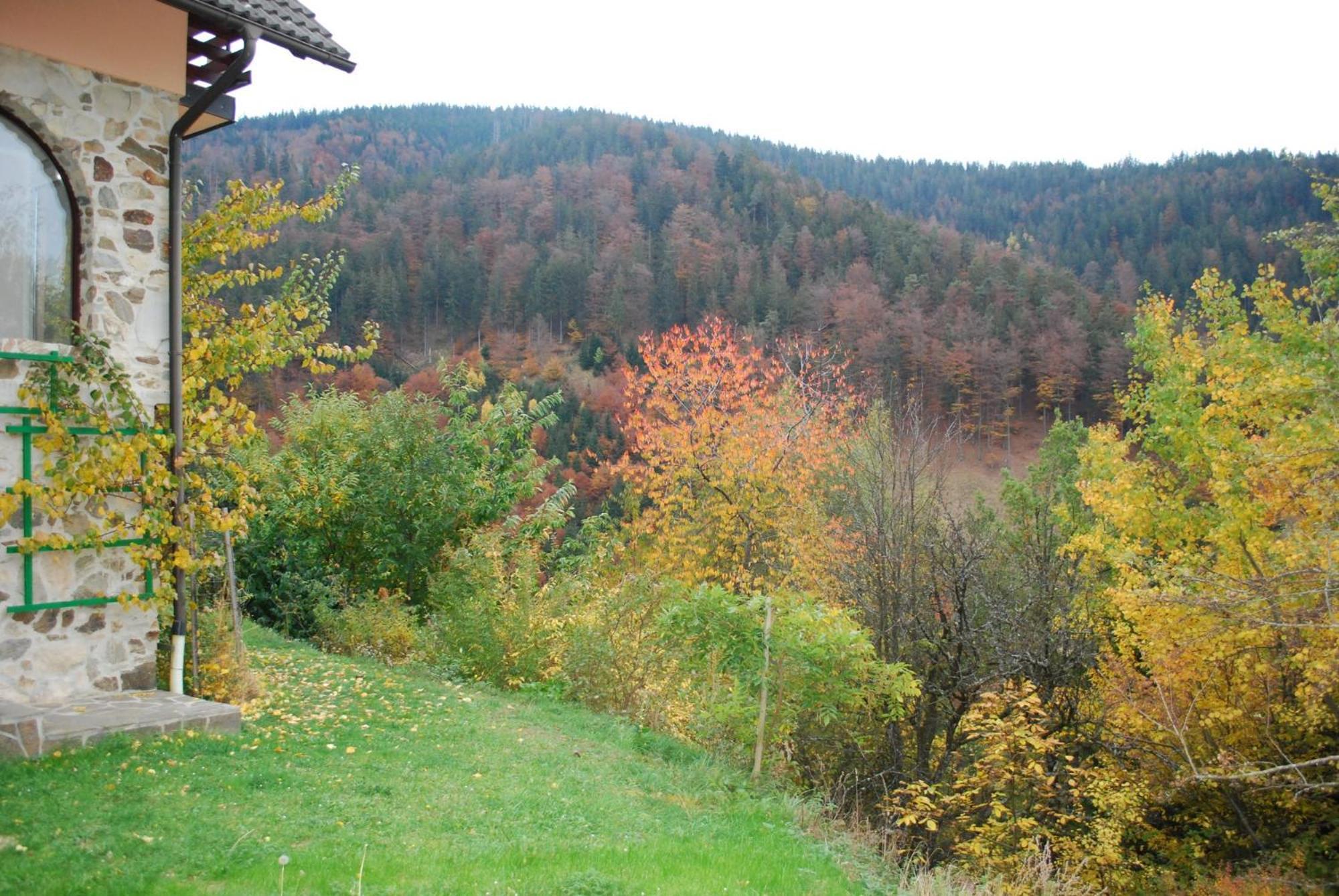 Country House & Spa Mislinja Экстерьер фото